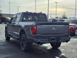 New 2025 Ford F150 XLT w/ Equipment Group 303A High image 5