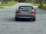 Used 2002 Ford Mustang Deluxe Convertible image 5