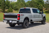 New 2025 Ford F250 Platinum image 6