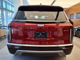 New 2026 Cadillac Vistiq Luxury image 5