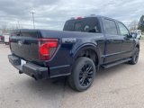 New 2025 Ford F150 XLT w/ Equipment Group 302A MID image 5