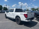 Used 2025 Ford F150 XLT image 4