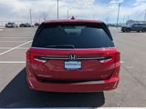Used 2024 Honda Odyssey Elite image 5