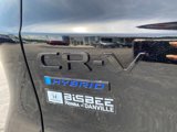 New 2026 Honda CR-V TrailSport image 5