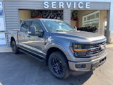 New 2025 Ford F150 XLT image 4