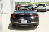 New 2025 Ford Mustang GT Premium image 5