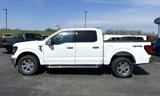 New 2025 Ford F150 XLT image 5