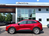 Used 2022 Ford Escape SE w/ Convenience Package image 2