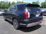 New 2025 Hyundai Palisade Calligraphy image 3