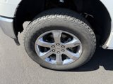 Used 2023 Ford F150 King Ranch w/ Equipment Group 601A High image 5