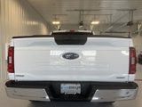 Used 2023 Ford F150 XLT image 4