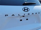 New 2025 Hyundai Palisade Calligraphy image 6