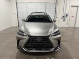 Used 2025 Lexus NX 350h AWD w/ Premium Package image 2
