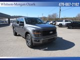 New 2025 Ford F150 STX image 3