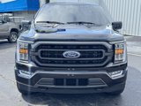 Used 2023 Ford F150 XLT w/ Equipment Group 302A High image 2