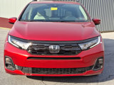 New 2025 Honda Odyssey Touring image 2