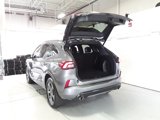Used 2024 Ford Escape ST-Line image 5