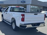 Used 2024 Chevrolet Silverado 1500 W/T w/ WT Fleet Convenience Package image 4