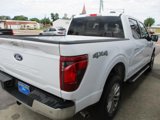 New 2024 Ford F150 XLT w/ Equipment Group 302A MID image 5