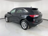 Used 2022 Ford Escape SE image 5