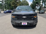 New 2025 Ford F150 XLT image 2