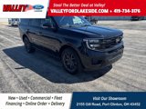 New 2025 Ford Expedition Platinum image 1