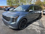 New 2025 Kia Carnival SX image 4