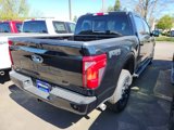 New 2025 Ford F150 XLT w/ Equipment Group 302A MID image 3