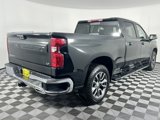 New 2025 Chevrolet Silverado 1500 LT w/ All Star Edition Plus image 5