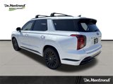 New 2025 Hyundai Palisade Calligraphy image 3