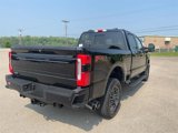 New 2025 Ford F250 Platinum image 4