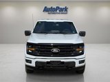 New 2025 Ford F150 XLT w/ Equipment Group 302A MID image 2