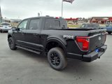 New 2025 Ford F150 XLT image 3