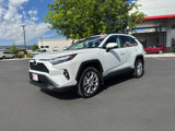 Certified 2025 Toyota RAV4 XLE Premium image 5