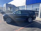 New 2025 Hyundai Palisade Calligraphy image 4