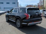 New 2025 Hyundai Palisade Calligraphy image 5