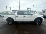 Used 2013 Ford F150 FX4 w/ Luxury Equipment Group image 6