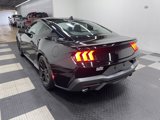 New 2025 Ford Mustang GT Premium w/ Mustang Nite Pony Package image 2