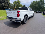 Used 2020 Chevrolet Silverado 1500 LT w/ All-Star Edition image 4
