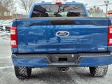 Used 2023 Ford F150 XL w/ STX Appearance Package image 6