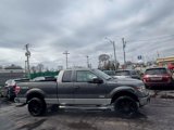 Used 2014 Ford F150 XLT w/ Equipment Group 302A Luxury image 4