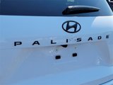 New 2025 Hyundai Palisade Calligraphy image 6