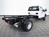 New 2025 Ford F350 XL w/ XL Chrome Package image 4