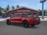New 2025 Ford F150 XLT w/ Equipment Group 303A High image 4
