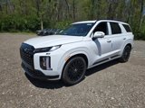 New 2025 Hyundai Palisade Calligraphy image 1
