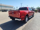 Used 2019 Ford Ranger XLT w/ Equipment Group 301A Mid image 5