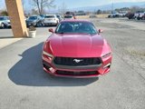 New 2025 Ford Mustang Premium image 3