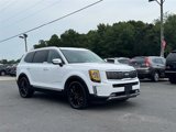 Used 2021 Kia Telluride SX w/ SX Prestige Package image 4