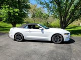 Used 2019 Ford Mustang Premium image 2