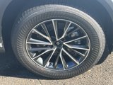 New 2025 Lexus NX 350h AWD w/ Premium Package image 5